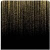 Black & Gold Sparkle Rain
