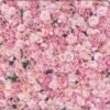 Blush Rose Garden