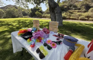 A sunny outdoor photo booth prop table featuring colorful hats, floral leis, and playful sunglasses set up at an Orange County park.